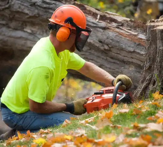 tree services Piney Point